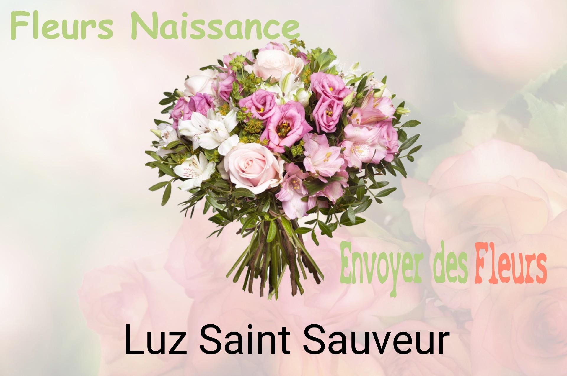 Bouquet de fleurs de naissance livré à Luz-Saint-Sauveur