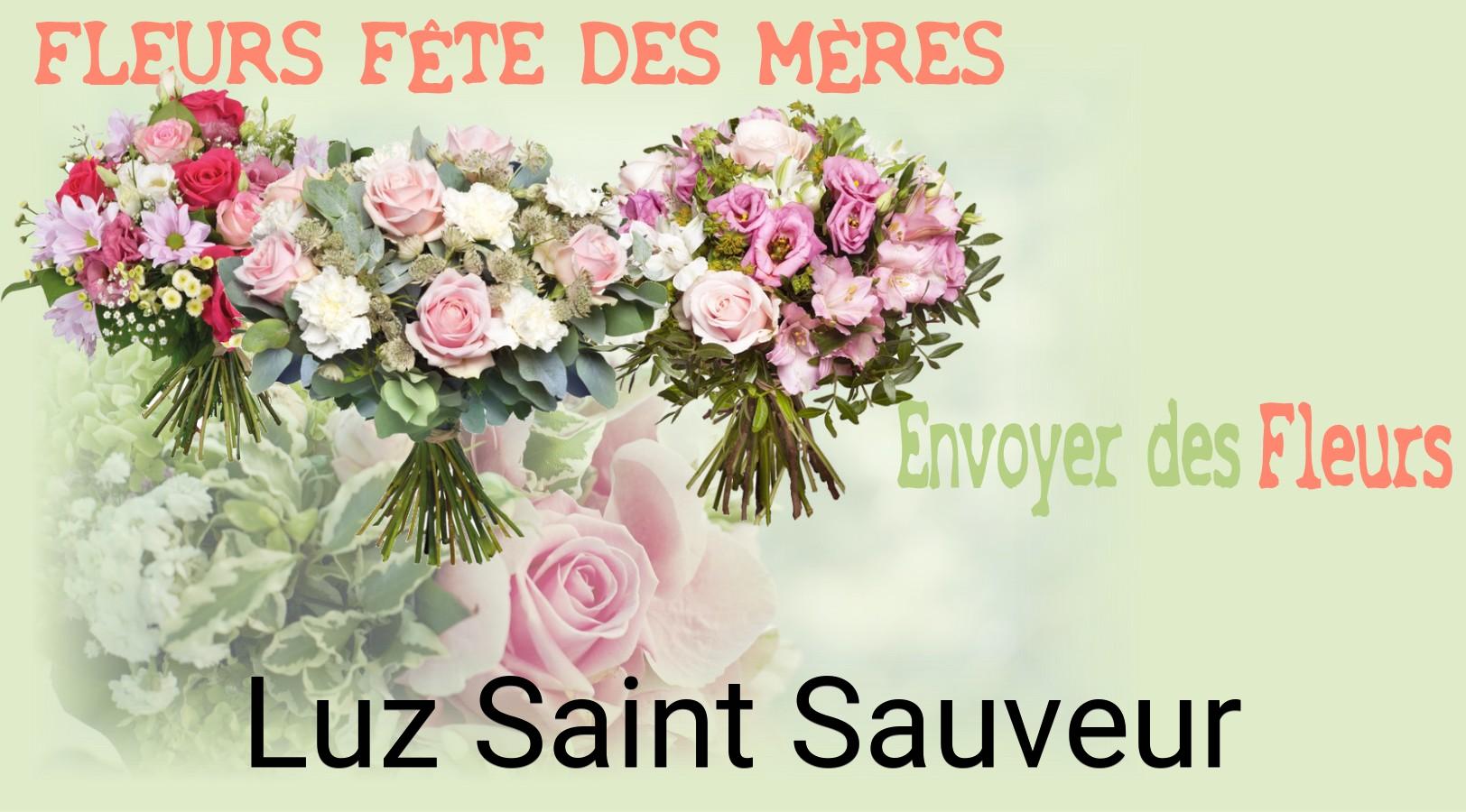 Bouquet de Fête des Mères livré à Luz-Saint-Sauveur